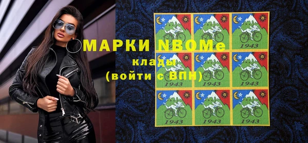 прущие грибы Кулебаки