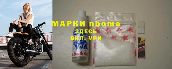 прущие грибы Кулебаки