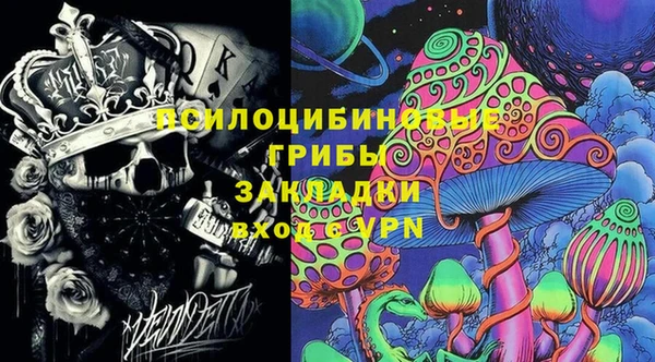 крисы Куйбышев