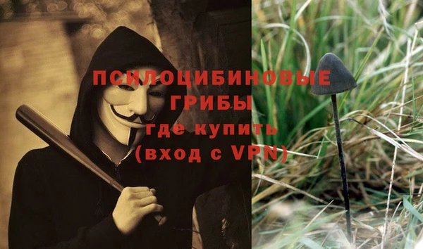 крисы Куйбышев
