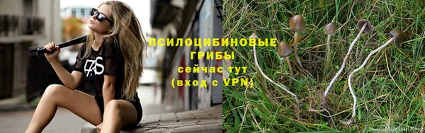 прущие грибы Кулебаки
