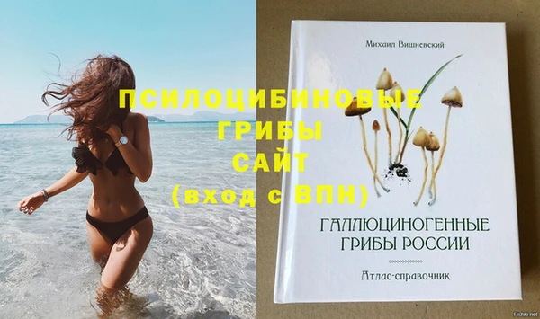прущие грибы Кулебаки