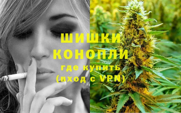 прущие грибы Кулебаки