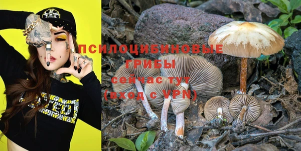 крисы Куйбышев
