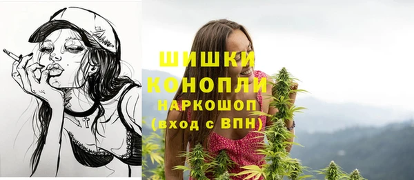 крисы Куйбышев