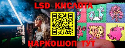 ГАЛЛЮЦИНОГЕННЫЕ ГРИБЫ Заволжье