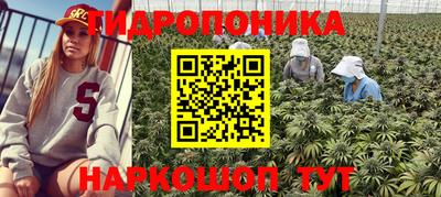 СК Заводоуковск