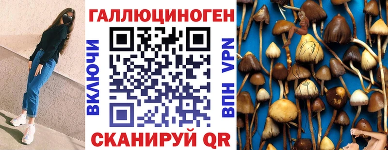 где найти наркотики  Малгобек  Псилоцибиновые грибы прущие грибы 