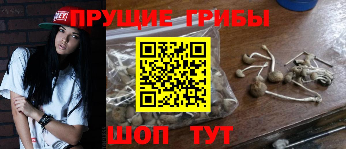 Галлюциногенные грибы MAGIC MUSHROOMS Малгобек